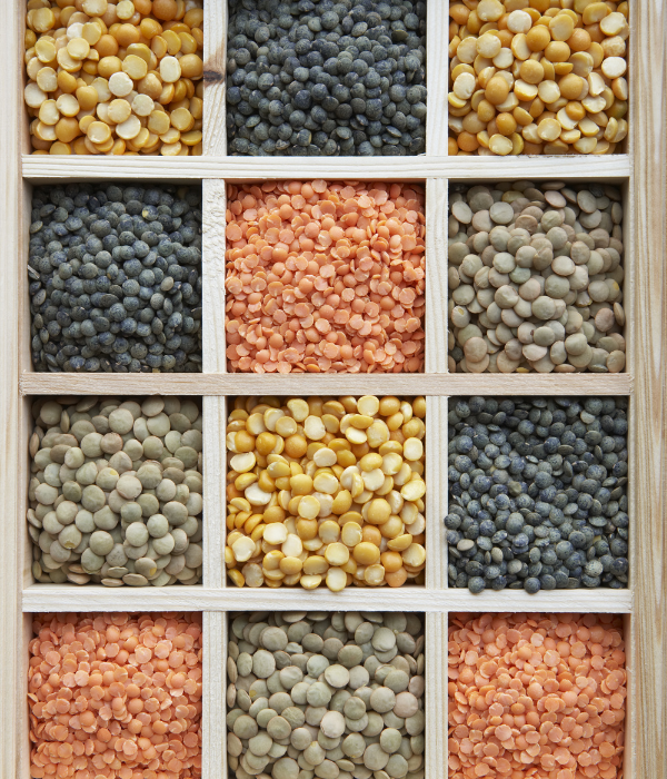 Fruits